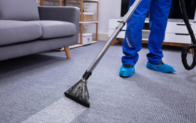 Méthodes Efficaces pour Nettoyer une Moquette
